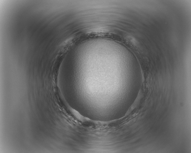 X0000067471062200604101153