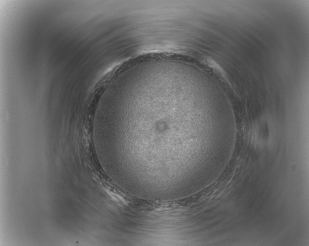 X0000067471064200604101153