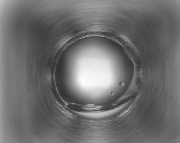 X0000067471065200604101153