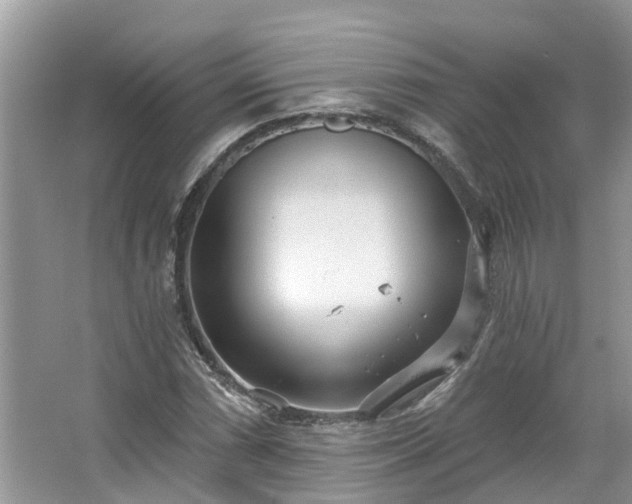 X0000067471066200604101153