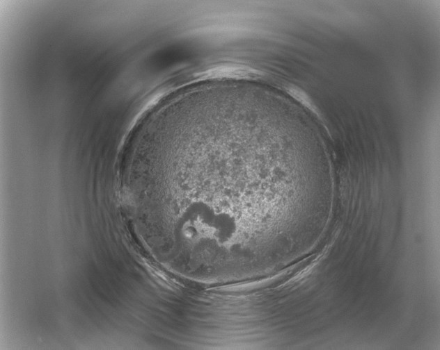 X0000067471067200604101153