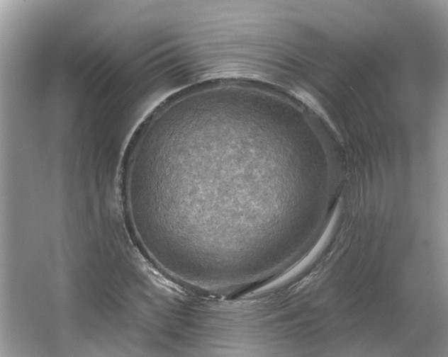 X0000067471068200604101153