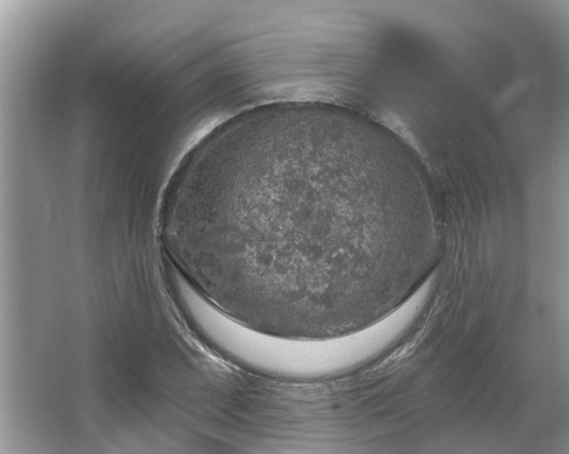 X0000067471071200604101153