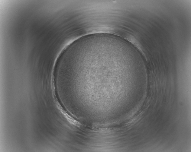 X0000067471072200604101153