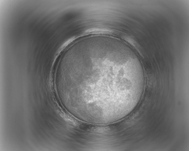 X0000067471074200604101153