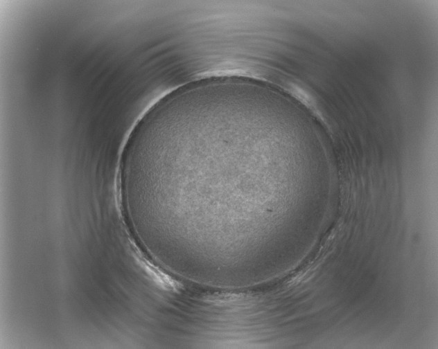 X0000067471076200604101153