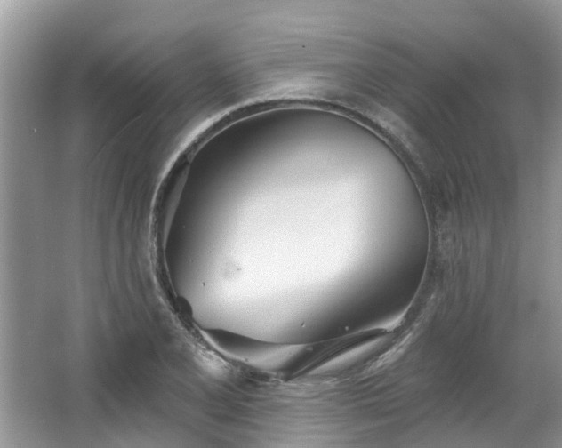 X0000067471077200604101153