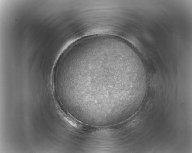 X0000067471078200604101153