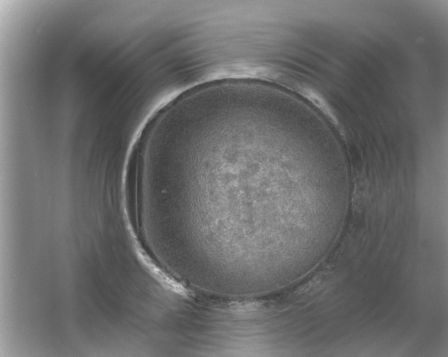 X0000067471080200604101153