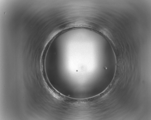 X0000067471082200604101153