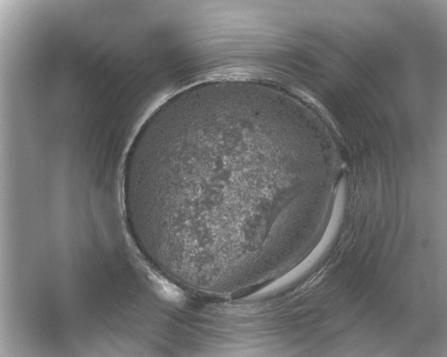 X0000067471083200604101153