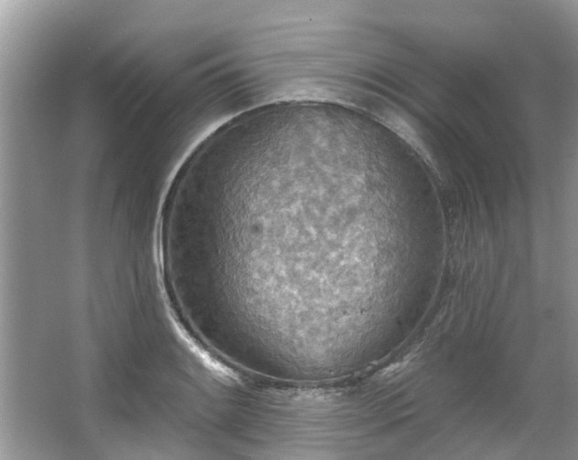 X0000067471084200604101152