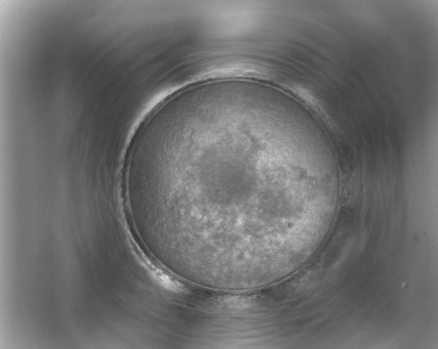 X0000067471086200604101152