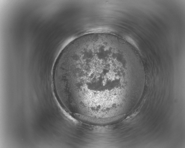 X0000067471087200604101152