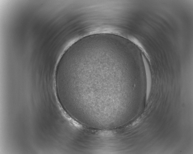 X0000067471088200604101152