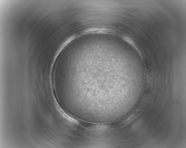 X0000067471090200604101152