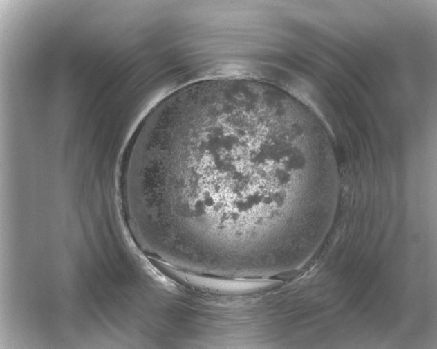 X0000067471091200604101152