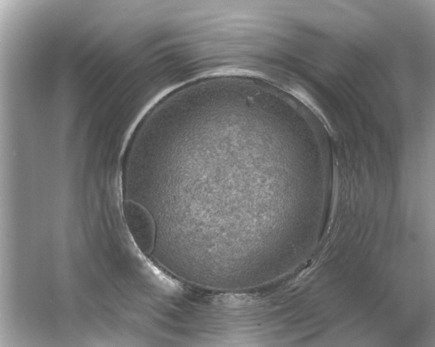 X0000067471092200604101152