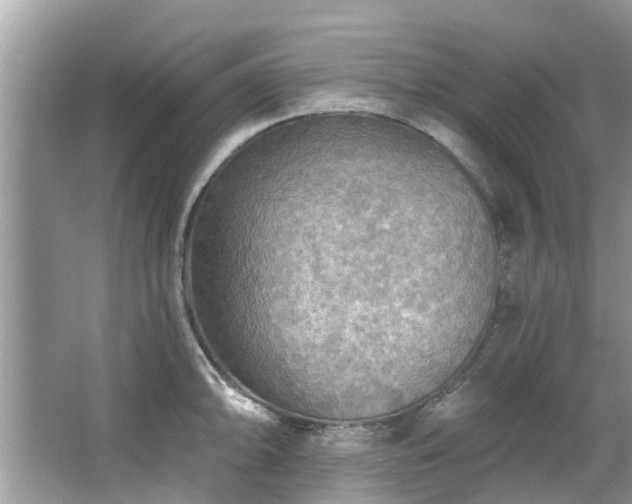 X0000067471094200604101152