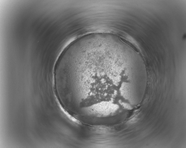 X0000067471095200604101152