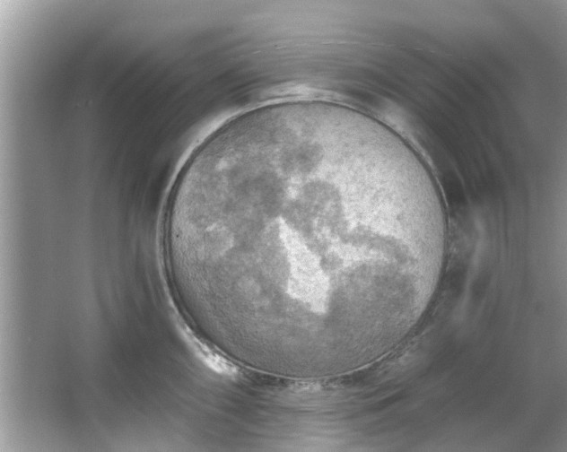 X0000067471098200604101152