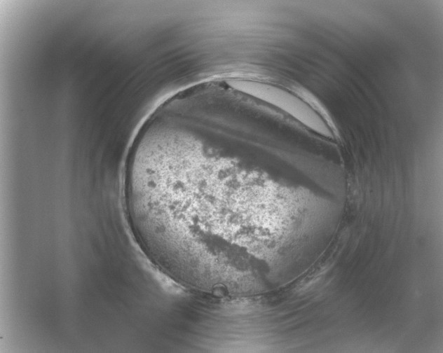 X0000067471099200604101152