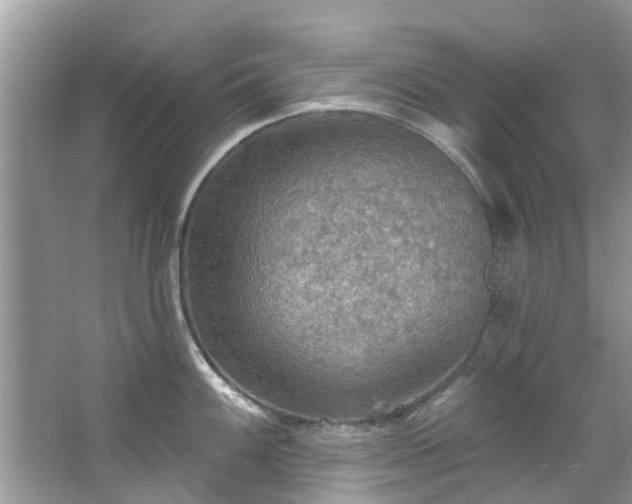 X0000067471100200604101152