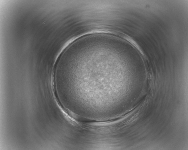 X0000067471101200604101152