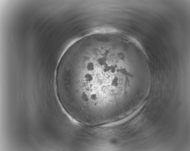 X0000067471103200604101152