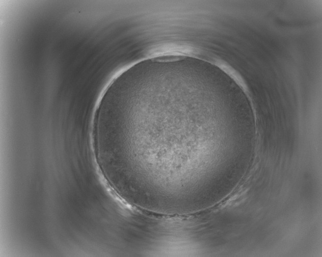 X0000067471104200604101152