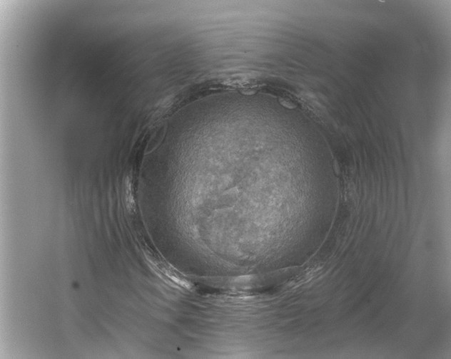 X0000067471106200604101151