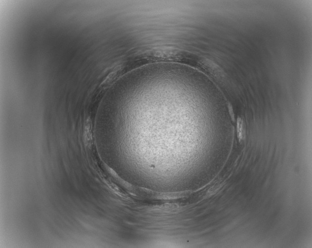 X0000067471107200604101151