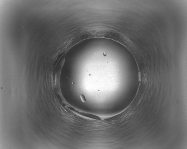 X0000067471108200604101151