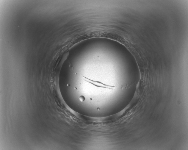 X0000067471109200604101151