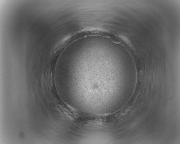 X0000067471111200604101151