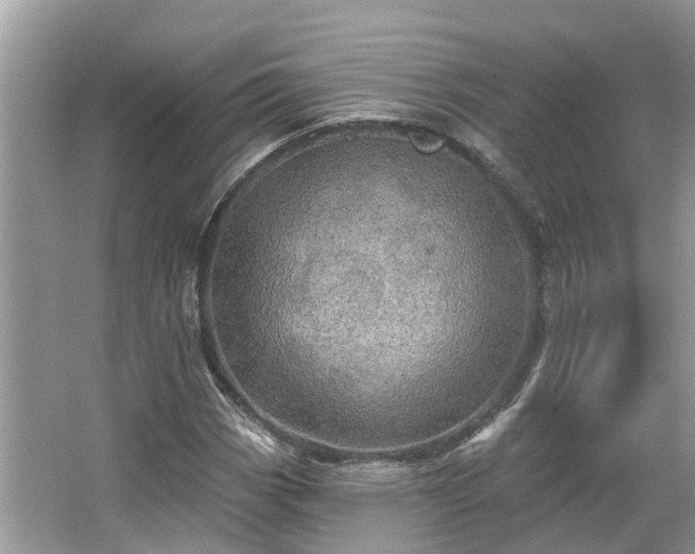 X0000067471113200604101151