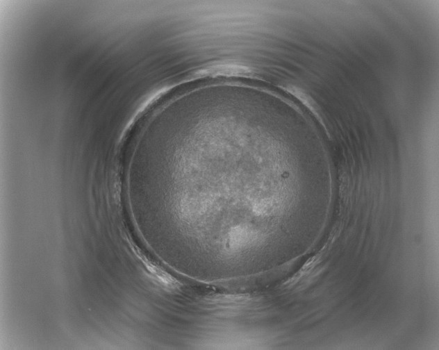 X0000067471115200604101152