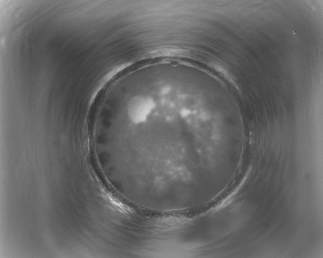 X0000067471117200604101152