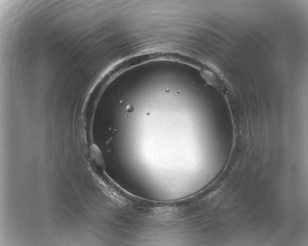 X0000067471118200604101152