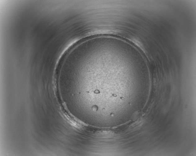 X0000067471119200604101152