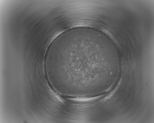 X0000067471121200604101152