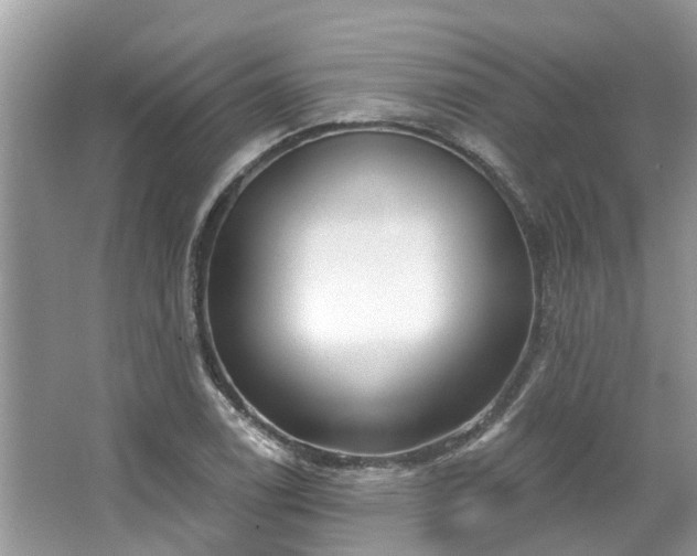 X0000067471122200604101152