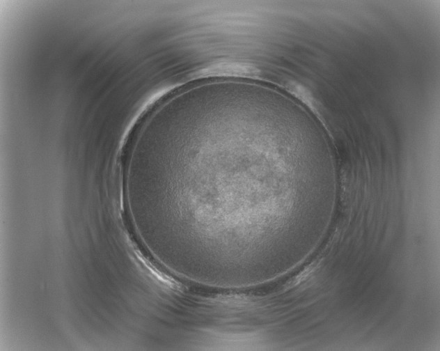 X0000067471123200604101152