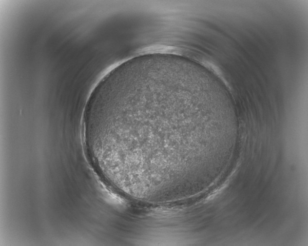 X0000067471125200604101152