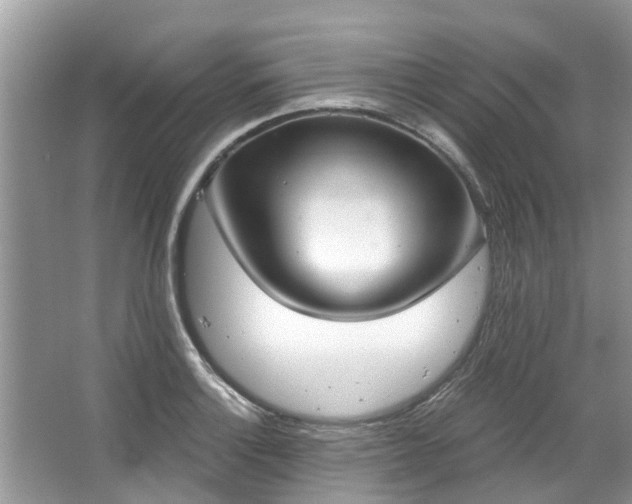 X0000067471132200604101152