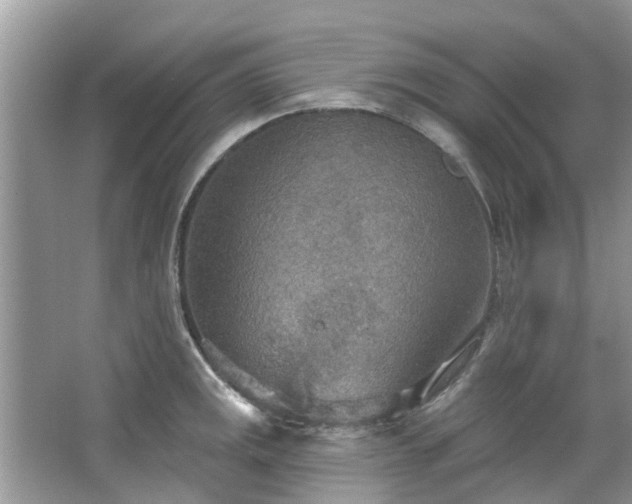 X0000067471141200604101152