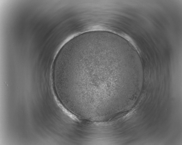 X0000067471142200604101152