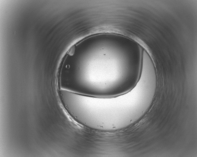 X0000067471144200604101152