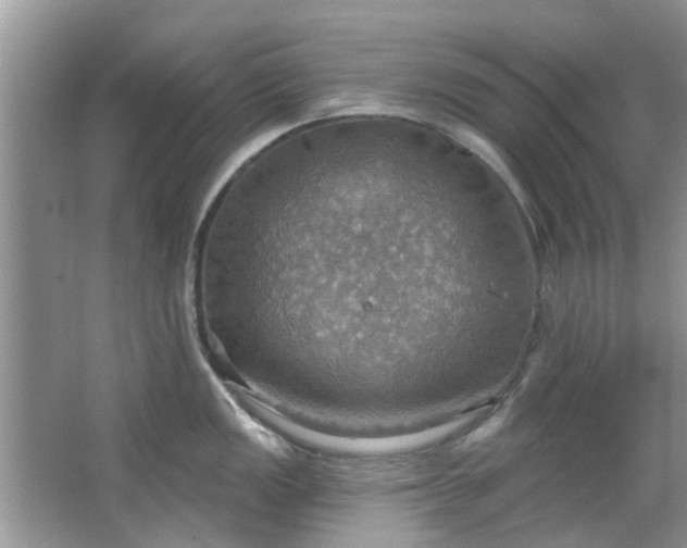 X0000067471149200604101152