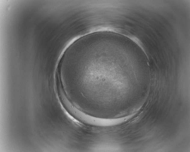 X0000067471151200604101152